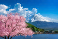 Japan - Travel Micro Guide